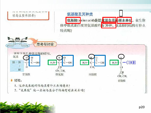 新教材高中化学《蛋白质》PPT完整版1