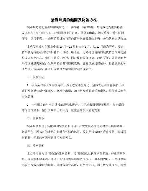 猪裂蹄病的起因及防治方法
