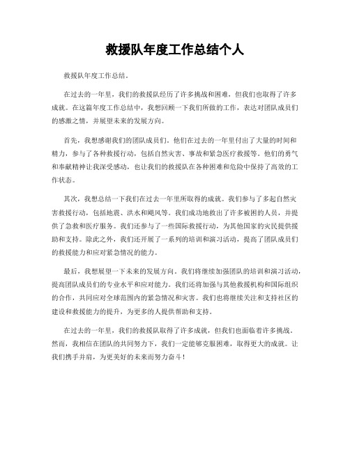 救援队年度工作总结个人