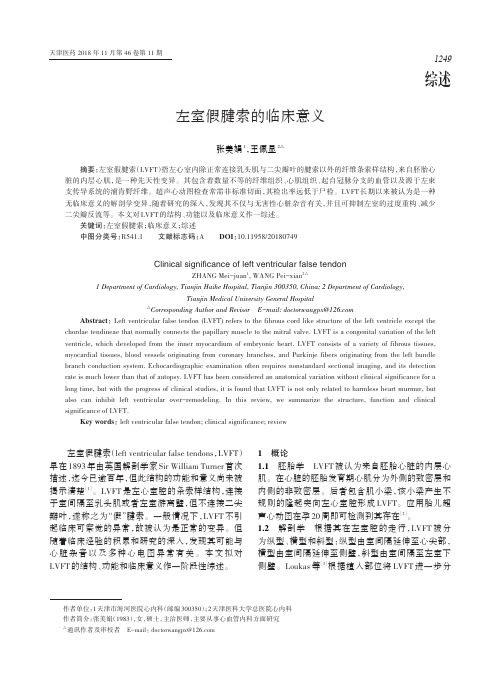 左室假腱索的临床意义