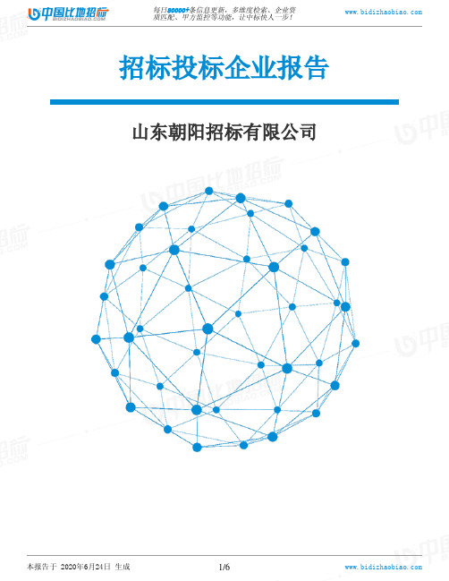 山东朝阳招标有限公司-招投标数据分析报告