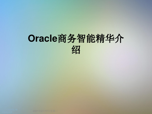 Oracle商务智能精华介绍