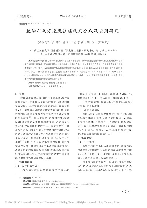 胶磷矿反浮选脱镁捕收剂合成及应用研究_罗伍容