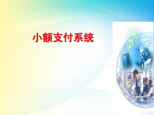 大小额支付系统