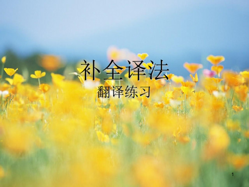 补全译法翻译