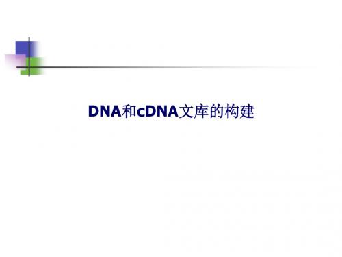 DNA和CDNA文库构建
