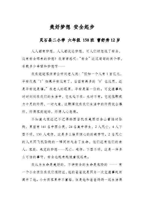 美好梦想 安全起步