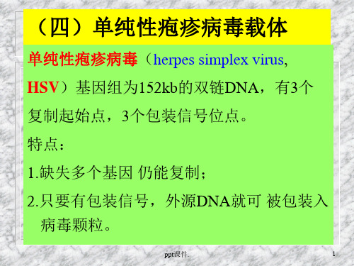 基因治疗ppt课件