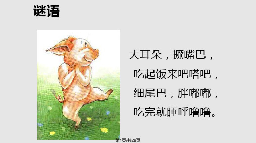 我的幸运一天绘本故事PPT课件