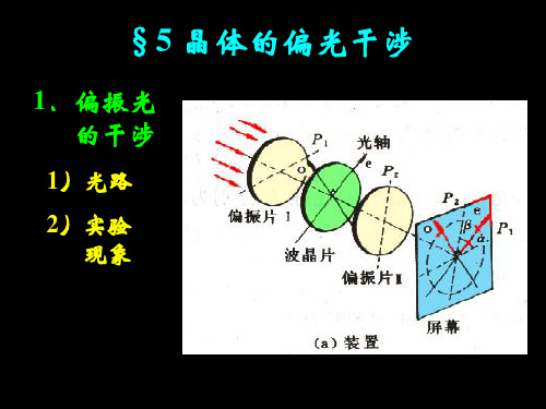 偏振光干涉