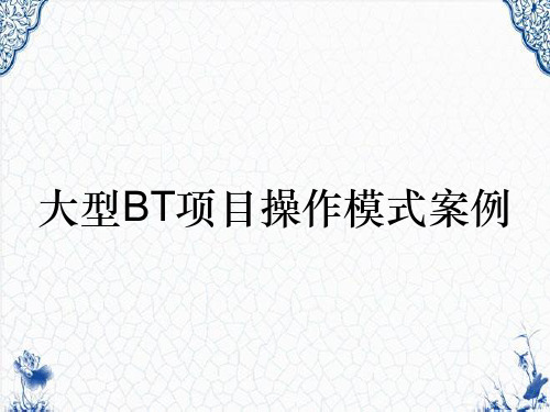 大型BT项目操作模式案例