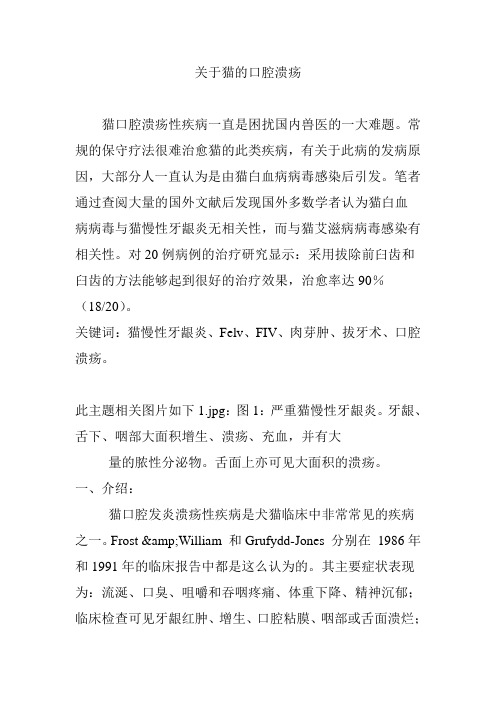 关于猫的口腔溃疡