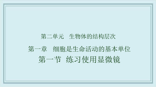 梅江区六月上旬七年级生物上册2.1.1练习使用显微镜课件新版新人教版3