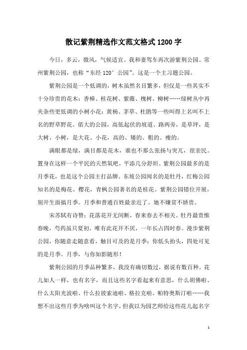 散记紫荆精选作文范文格式1200字