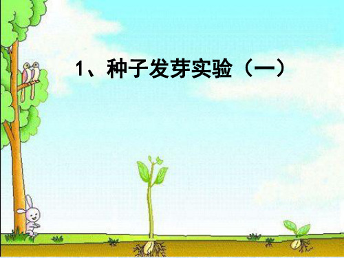 五年级上册科学课件-1.1 种子发芽实验(一)｜教科版 (52)(共16张PPT)