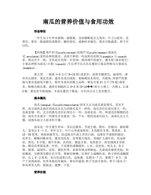 南瓜的营养价值与食用功效