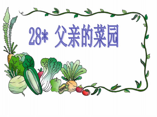 父亲的菜园PPT课件
