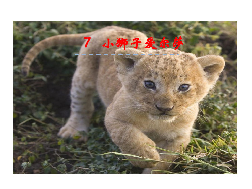 冀教版四年级语文下册《二单元  7. 小狮子爱尔莎》教学设计_18