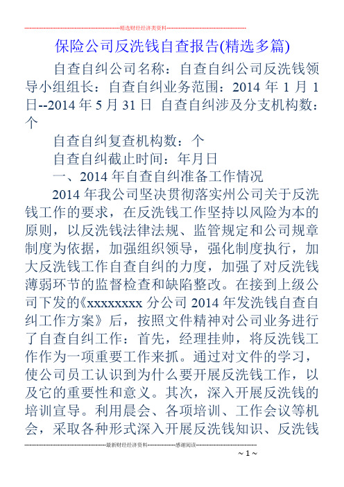 保险公司反洗钱自查报告(精选多篇)