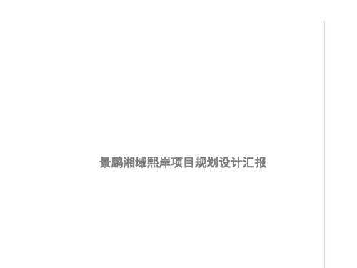 某地产项目规划设计汇报