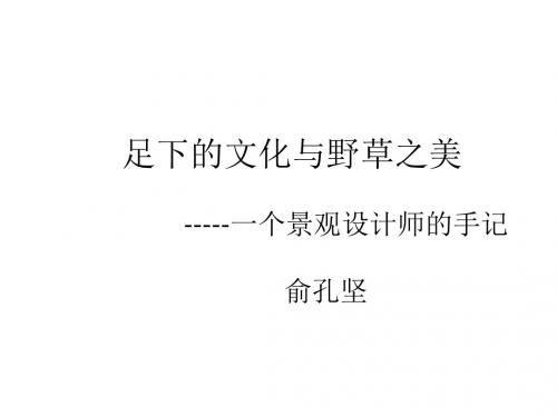 【高中语文】足下的文化与野草之美ppt精品课件2