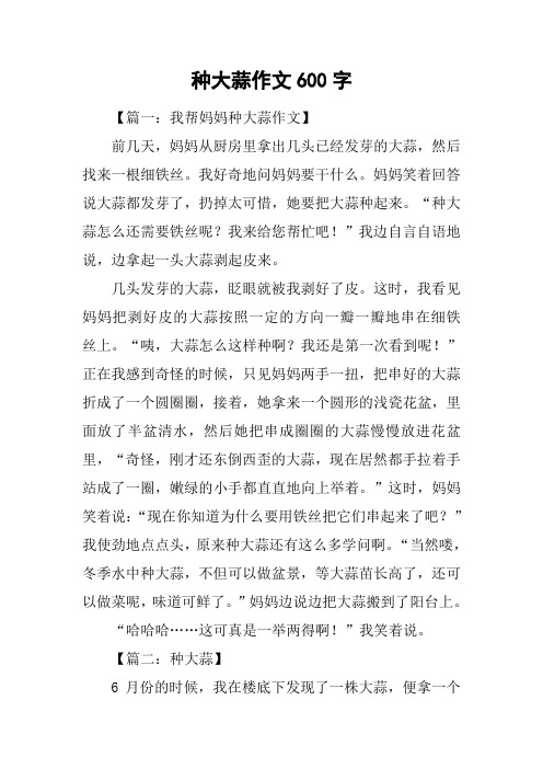 种大蒜作文600字
