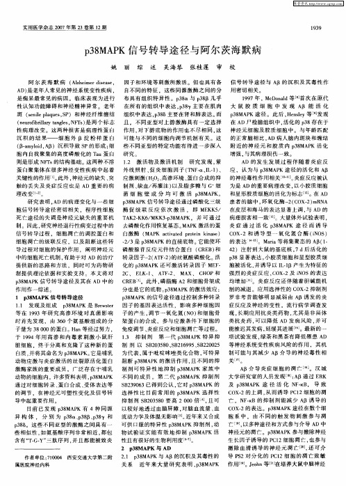 p38MAPK信号转导途径与阿尔茨海默病
