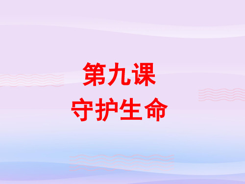 守护生命ppt优秀课件8 人教版PPT课件