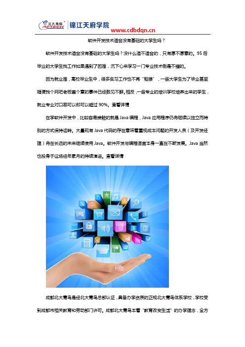 软件开发技术适合没有基础的大学生吗？
