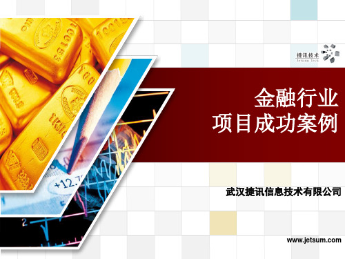 金融行业项目成功案例