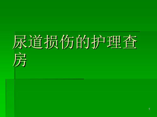 尿道损伤的护理查房ppt课件