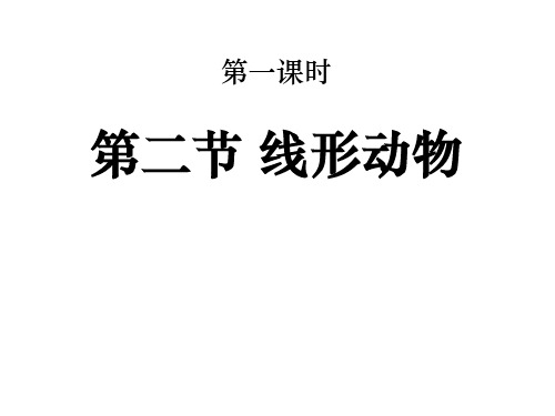 八年级生物上册《第一章、第二节线形动物和环节动物》课件新人教版共12页文档