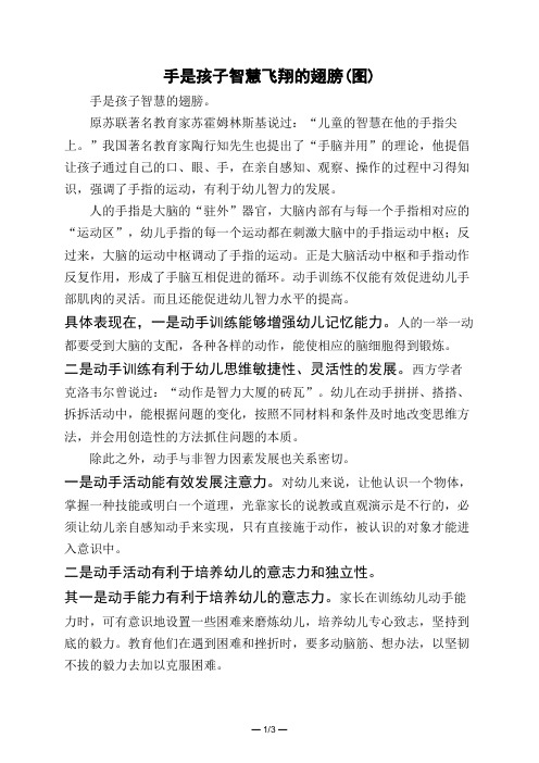 手是孩子智慧飞翔的翅膀(图) 