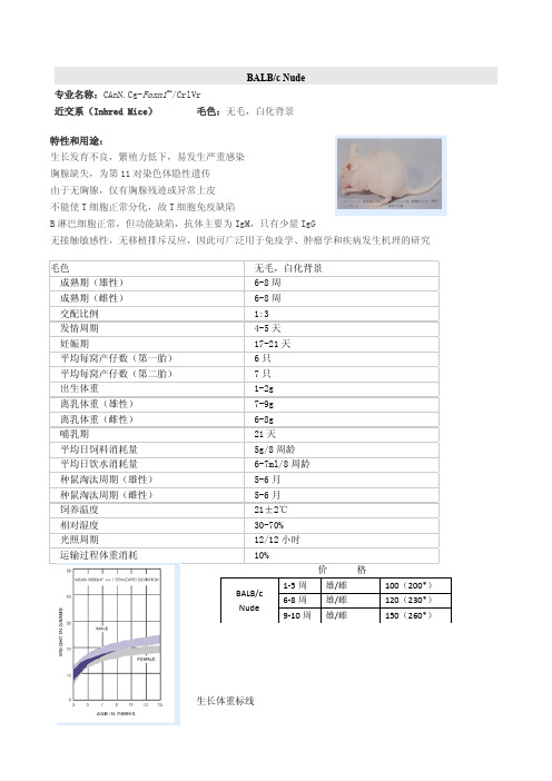 不同裸鼠品系的特征