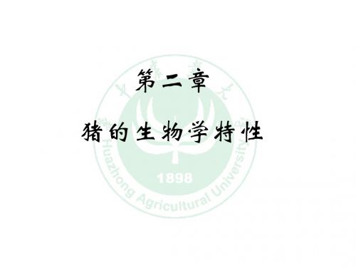 猪的生物学特性