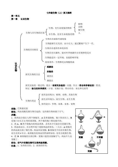 七年级生物上册复习提纲