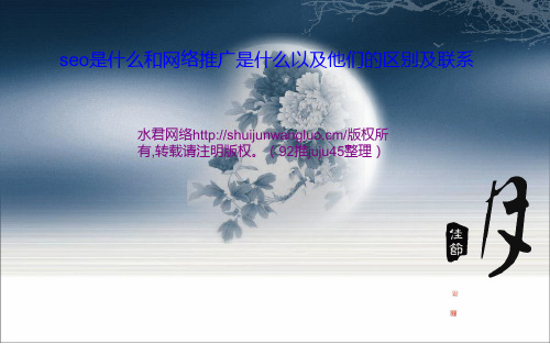 水军概说seo与网络推广的利弊关系、联系、区别都是什么PPT课件