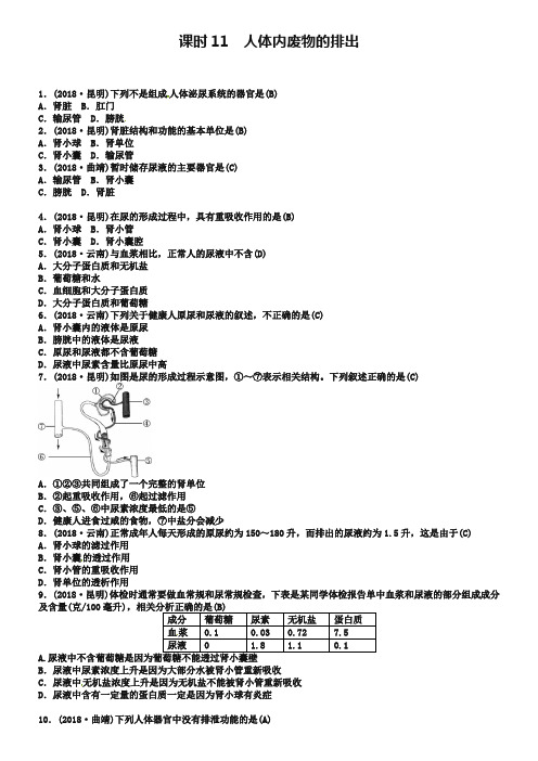云南专版2019届中考生物教材考点梳理第11课时人体内废物的排出
