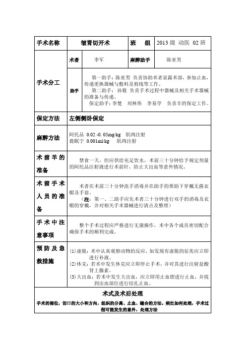 手术计划瘤胃切开