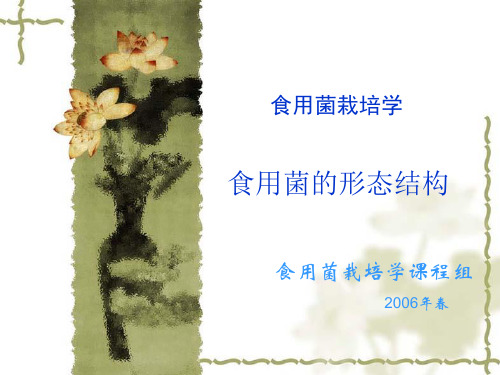 食用菌的形态结构.