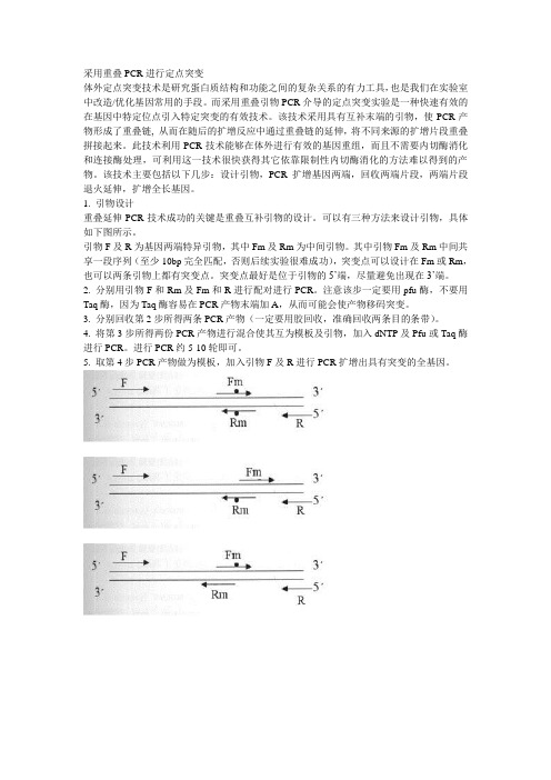 采用重叠PCR进行定点突变