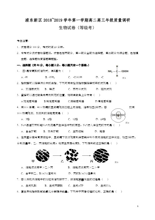 浦东新区2019年秋高二高三第一学期期末(一模)学科质量检测生物试题及答案【精校】