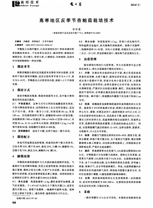 高寒地区反季节杏鲍菇栽培技术