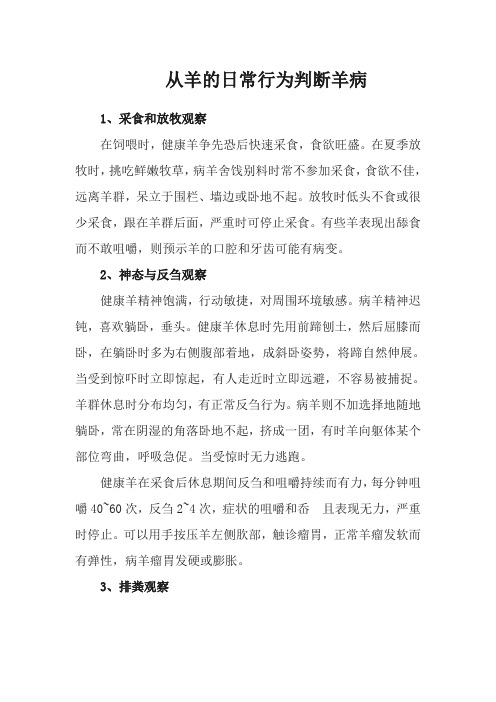 从羊的日常行为判断羊病