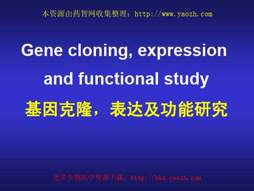 基因克隆,表达及功能研究