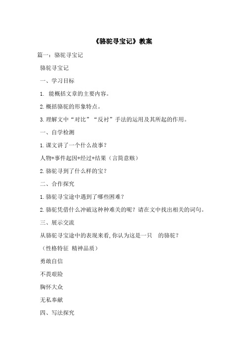 《骆驼寻宝记》教案-最新范文