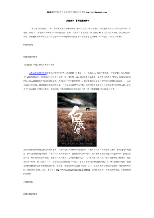 《白鹿原》：中国电影新面子