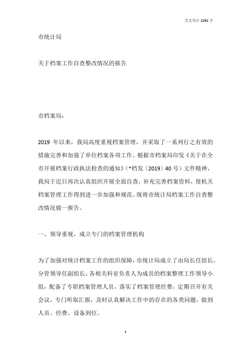 市统计局关于档案工作自查整改情况的报告