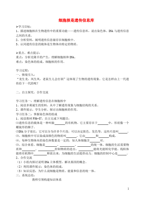 七年级生物上册 2.2.2 细胞核是遗传信息库学案(无答案)(新版)新人教版