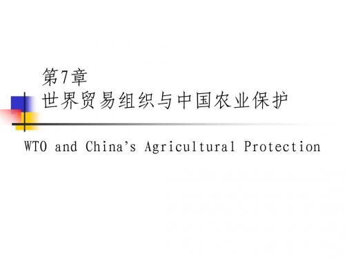 我国农业现代化现状问题对策